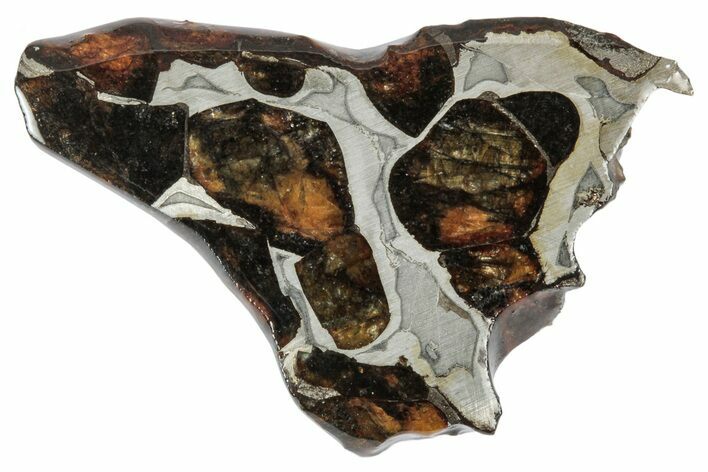 Sericho Pallasite Meteorite ( g) Slice - Kenya #346437